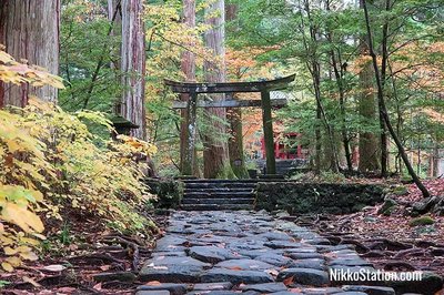 ⛩️ 닛코 후타라산 신사 별궁 타키노오 신사 (닛코 후타라산진자 베츠구 타키노오진자)